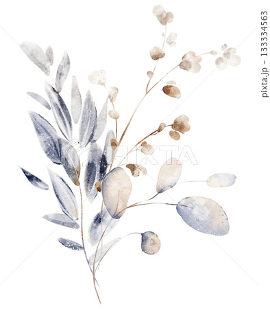 Watercolor Dried Flower Bouquet Illustration Watercolor Dried Flower Bouquet Illustration 133334563