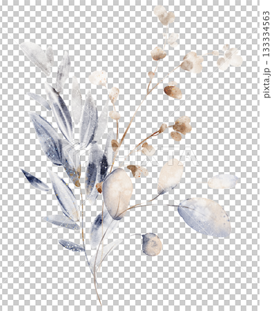 Watercolor Dried Flower Bouquet Illustration Watercolor Dried Flower Bouquet Illustration 133334563