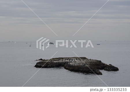 江ノ島釜の口・水道口の磯干潮時に見える岩場2 133335233