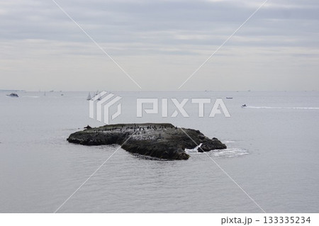 江ノ島釜の口・水道口の磯干潮時に見える岩場3 江ノ島釜の口・水道口の磯干潮時に見える岩場3 133335234