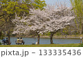桜のある公園で休日を楽しむ人々 133335436