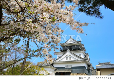 桜に包まれた岡崎城 桜に包まれた岡崎城 133335654
