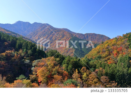 三嶺の色づく山肌を眺める 奥祖谷道中 (徳島県 東祖谷) 三嶺の色づく山肌を眺める 奥祖谷道中 (徳島県 東祖谷) 133335705