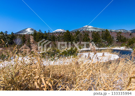 【青森県_八甲田_睡蓮沼】初雪の睡蓮沼と八甲田連峰 10月 133335994