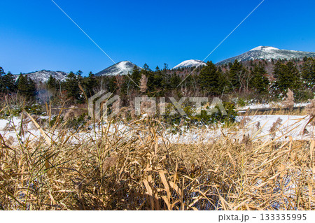 【青森県_八甲田_睡蓮沼】初雪の睡蓮沼と八甲田連峰 10月 133335995
