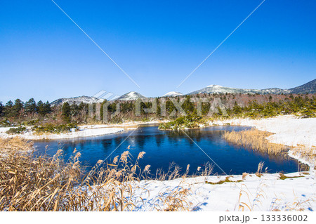 【青森県_八甲田_睡蓮沼】初雪の睡蓮沼と八甲田連峰 10月 【青森県_八甲田_睡蓮沼】初雪の睡蓮沼と八甲田連峰 10月 133336002