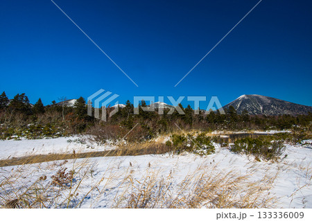 【青森県_八甲田_睡蓮沼】初雪の睡蓮沼と八甲田連峰 10月 【青森県_八甲田_睡蓮沼】初雪の睡蓮沼と八甲田連峰 10月 133336009