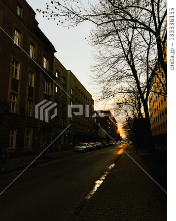 Warm sunset illuminating empty street and surrounding buildings in city, highlighting bare trees and parked cars along quiet road, creating serene evening atmosphere. Soft evening cityscape Warm sunset illuminating empty street and surrounding buildings in city, highlighting bare trees and parked cars along quiet road, creating serene evening atmosphere. Soft evening cityscape 133336155