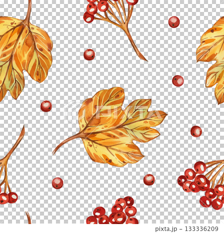 Seamless watercolor pattern of viburnum leaves, red viburnum berries, all objects hand-painted with watercolor and isolated on a white background. The illustration for printing on fabric, paper. Seamless watercolor pattern of viburnum leaves, red viburnum berries, all objects hand-painted with watercolor and isolated on a white background. The illustration for printing on fabric, paper. 133336209