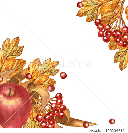 Watercolor illustration featuring a frame of red apple, autumn leaves, and viburnum berries. All objects are hand-painted in watercolor. For printing on Thanksgiving packaging, cards, and invitations. Watercolor illustration featuring a frame of red apple, autumn leaves, and viburnum berries. All objects are hand-painted in watercolor. For printing on Thanksgiving packaging, cards, and invitations. 133336211