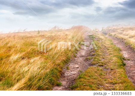landscape with dirt road through field in fog in summer. yellow grass on the hills under overcast sky. mystery atmosphere countryside composite photo landscape with dirt road through field in fog in summer. yellow grass on the hills under overcast sky. mystery atmosphere countryside composite photo 133336683