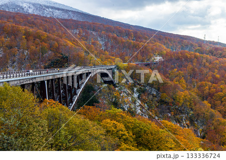 【青森県_八甲田】紅葉と初雪の城ヶ倉渓谷 10月 133336724