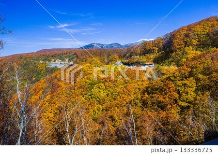 【青森県_八甲田】紅葉と初雪の城ヶ倉渓谷 10月 【青森県_八甲田】紅葉と初雪の城ヶ倉渓谷 10月 133336725