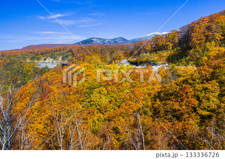 【青森県_八甲田】紅葉と初雪の城ヶ倉渓谷 10月 133336726