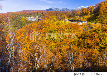 【青森県_八甲田】紅葉と初雪の城ヶ倉渓谷 10月 【青森県_八甲田】紅葉と初雪の城ヶ倉渓谷 10月 133336729