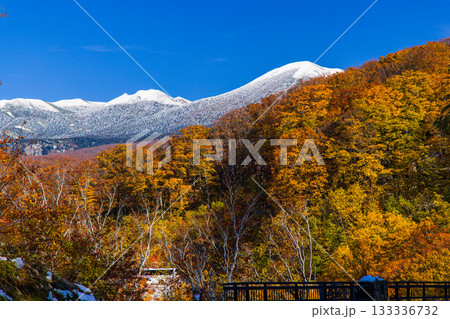 【青森県_八甲田】紅葉と初雪の城ヶ倉渓谷 10月 133336732