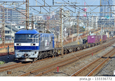 東海道本線　相模貨物　JR貨物　EF210-102（吹田） 133336772