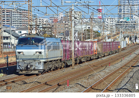 東海道本線 相模貨物 JR貨物 EF66-109(吹田) 東海道本線 相模貨物 JR貨物 EF66-109(吹田) 133336805