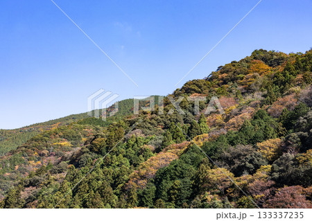 秋になり少し木々が色づいてきた山と青空 133337235