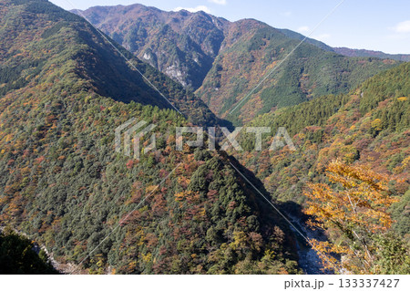 秋の徳島県のひの字渓谷(祖谷渓) 秋の徳島県のひの字渓谷(祖谷渓) 133337427