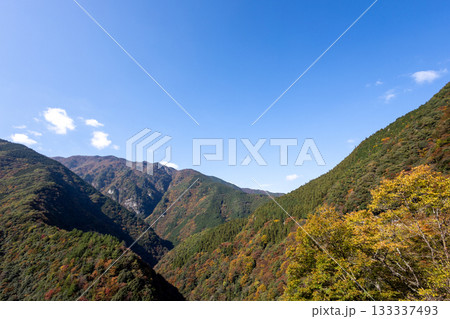 秋の徳島県のひの字渓谷（祖谷渓） 133337493