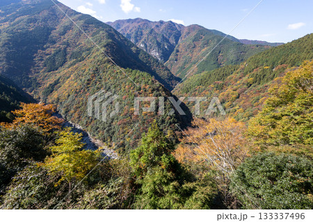 秋の徳島県のひの字渓谷(祖谷渓) 秋の徳島県のひの字渓谷(祖谷渓) 133337496