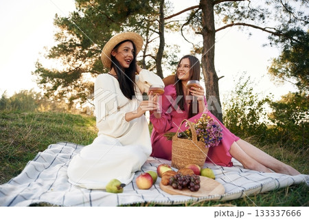 Weekend rest. Lesbian couple is together on the picnic in nature Weekend rest. Lesbian couple is together on the picnic in nature 133337666