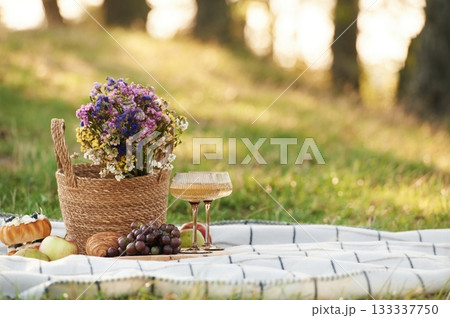 Picnic outdoors on the field, close up view 133337750