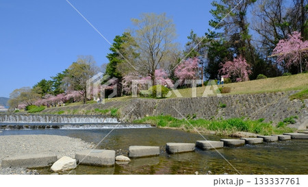 京都北山の賀茂川と飛び石 133337761