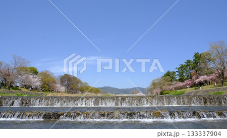 春の京都賀茂川の堰 133337904