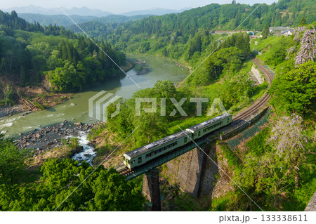 250521長野県栄村飯山線と山藤 250521長野県栄村飯山線と山藤 133338611