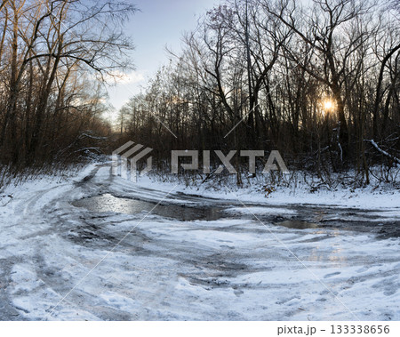 Frozen Forest Path in Winter Sunset Light 133338656