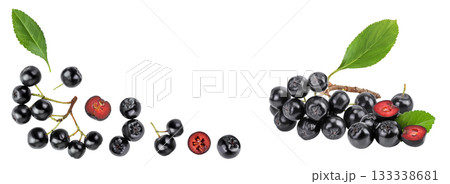 Chokeberry with leaf isolated on white background. Black aronia. Top view with copy space for your text. Flat lay Chokeberry with leaf isolated on white background. Black aronia. Top view with copy space for your text. Flat lay 133338681