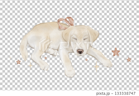 Composition with stars and character beige yellow puppy dog isolated on background. Hand drawn illustration sketch Labrador sleeping and a red bow around his neck. 133338747
