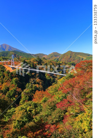 【大分県】快晴の九重夢大吊橋と紅葉 133338759