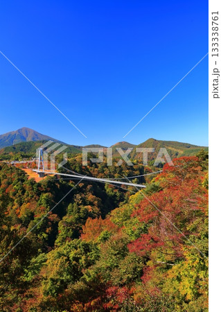 【大分県】快晴の九重夢大吊橋と紅葉 133338761