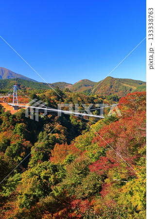 【大分県】快晴の九重夢大吊橋と紅葉 【大分県】快晴の九重夢大吊橋と紅葉 133338763