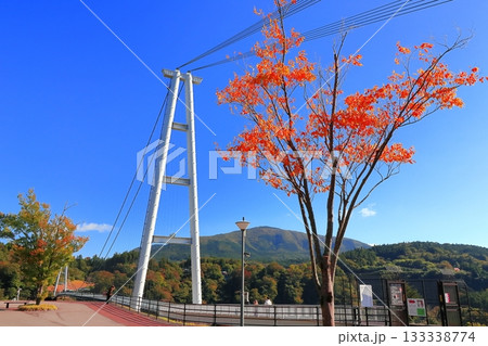 【大分県】快晴の九重夢大吊橋と紅葉 133338774