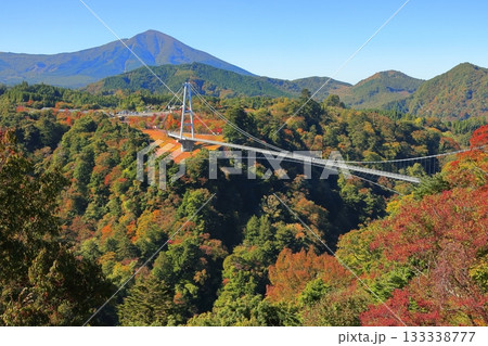 【大分県】快晴の九重夢大吊橋と紅葉 133338777
