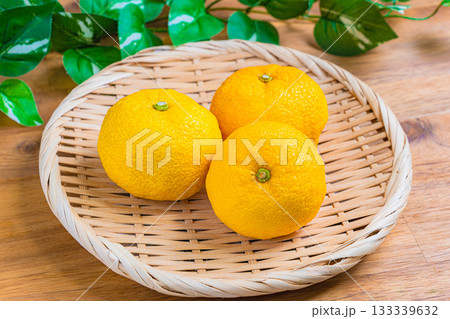 柚子 柚子 133339632