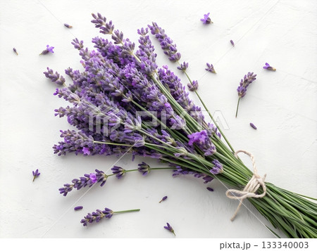 A bouquet of fresh purple lavender flowers tied with twine rests on a textured white surface 133340003