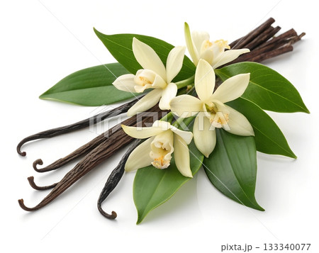 Vanilla beans with flowers and green leaves on a white background orchid 133340077