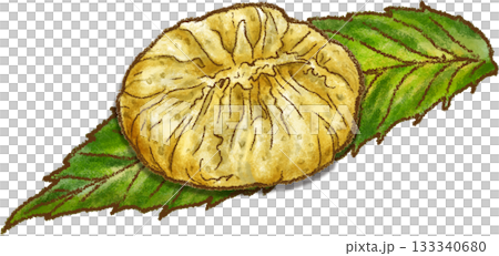 栗の葉っぱに乗った栗きんとん_岐阜県中津川市名さんの栗きんとん 133340680