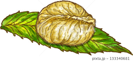 栗の葉っぱに乗った栗きんとん_岐阜県中津川市名さんの栗きんとん 133340681