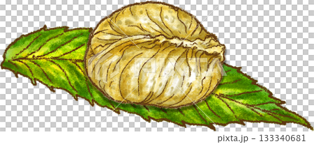 栗の葉っぱに乗った栗きんとん_岐阜県中津川市名さんの栗きんとん 133340681