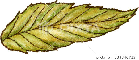 栗の葉っぱ_秋_紅葉_落ち葉_秋_秋のイラスト 栗の葉っぱ_秋_紅葉_落ち葉_秋_秋のイラスト 133340715