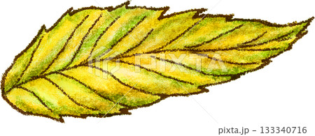 栗の葉っぱ_秋_紅葉_落ち葉_秋_秋のイラスト 133340716