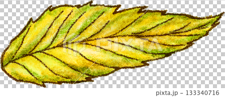 栗の葉っぱ_秋_紅葉_落ち葉_秋_秋のイラスト 133340716