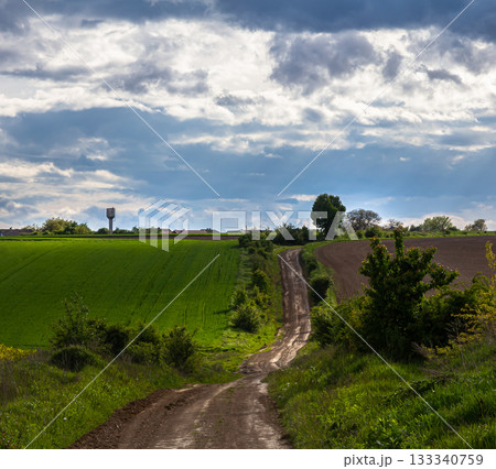 Winding dirt path through green fields under a cloudy sky in rural countryside landscape 133340759
