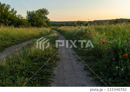 Serene dirt path winding through lush green meadow under a colorful sunset with vibrant wildflowers along the edges 133340782